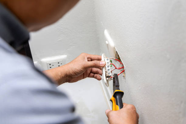 Best Electrical Rewiring Services  in De Soto, IA